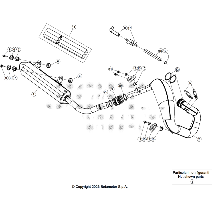 ECHAPPEMENT 250 XTRAINER 2025